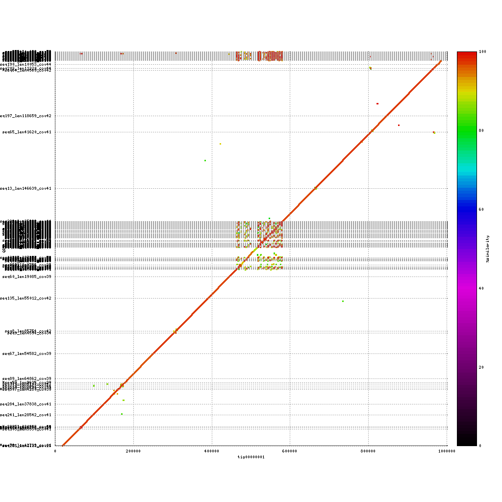 Nanopore vs. Illumina