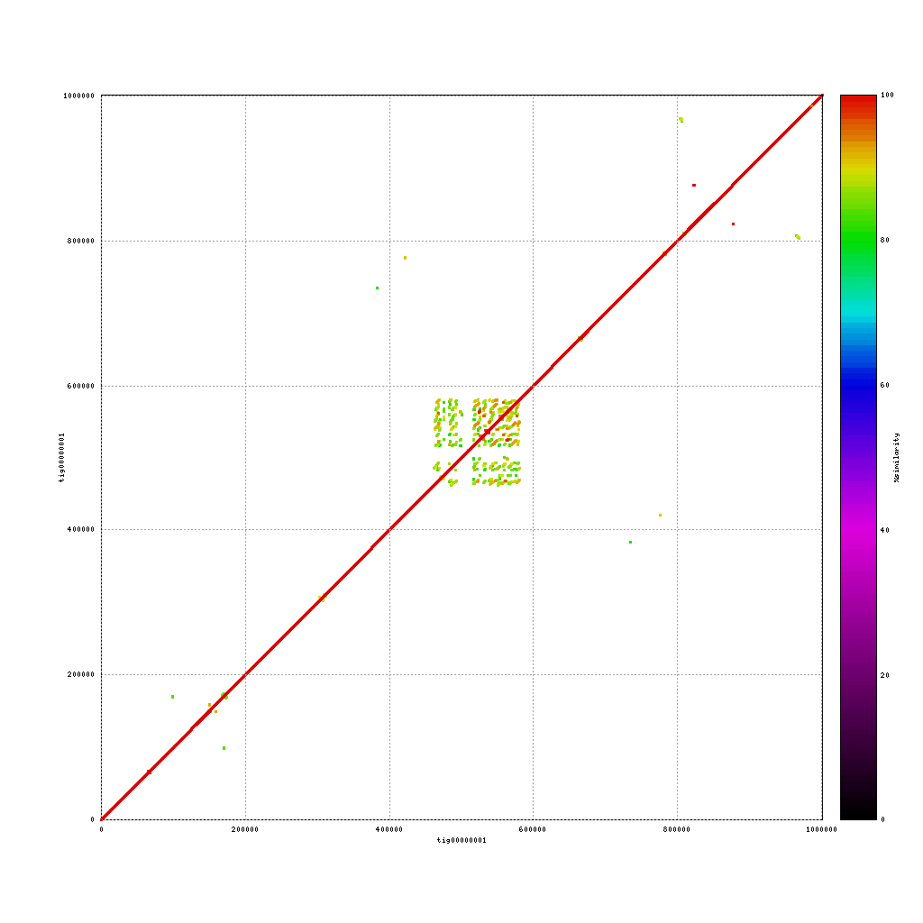 Nanopore