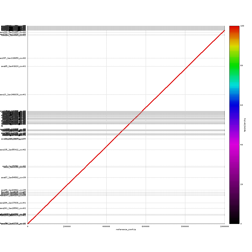 Illumina