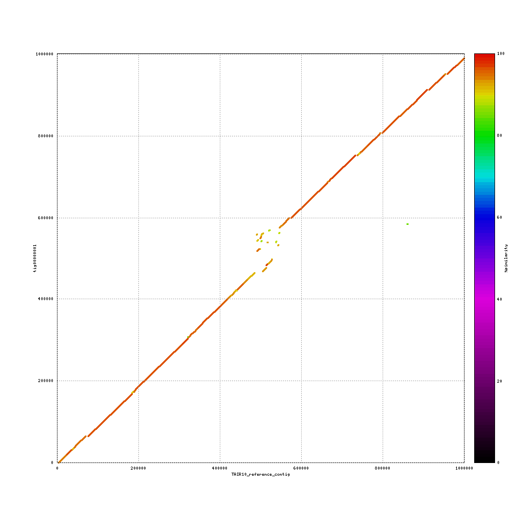 Nanopore